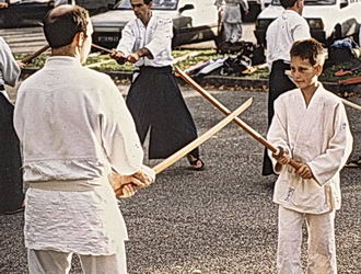 aïkido lyon dojo de cet art martial en rhône alpes auvergne RAA