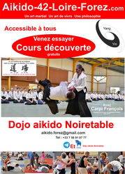 aïkido lyon dojo de cet art martial en rhône alpes auvergne RAA